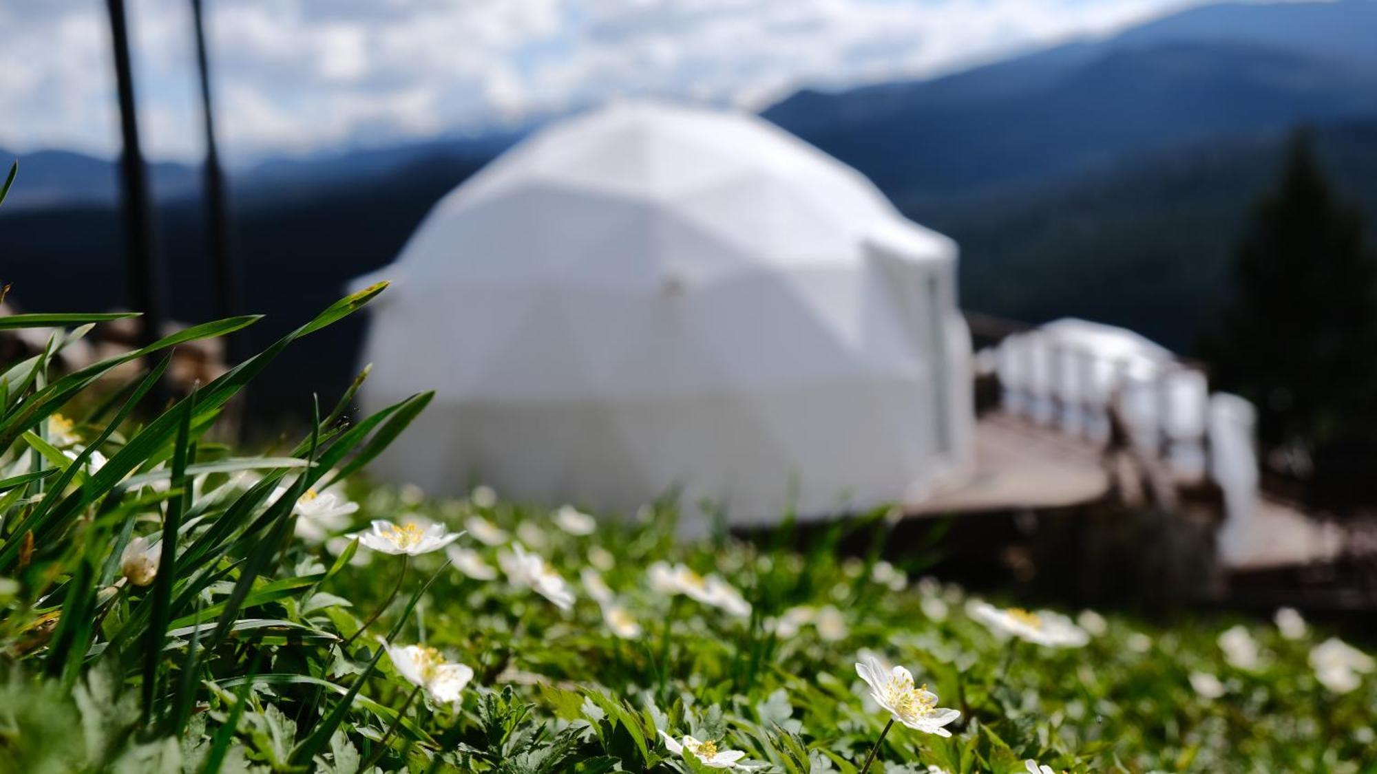 Глемпінг Де Вайб Hotell Vorochta Exteriör bild